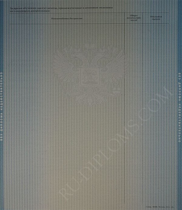 Диплом магистра 2010-2013 год 